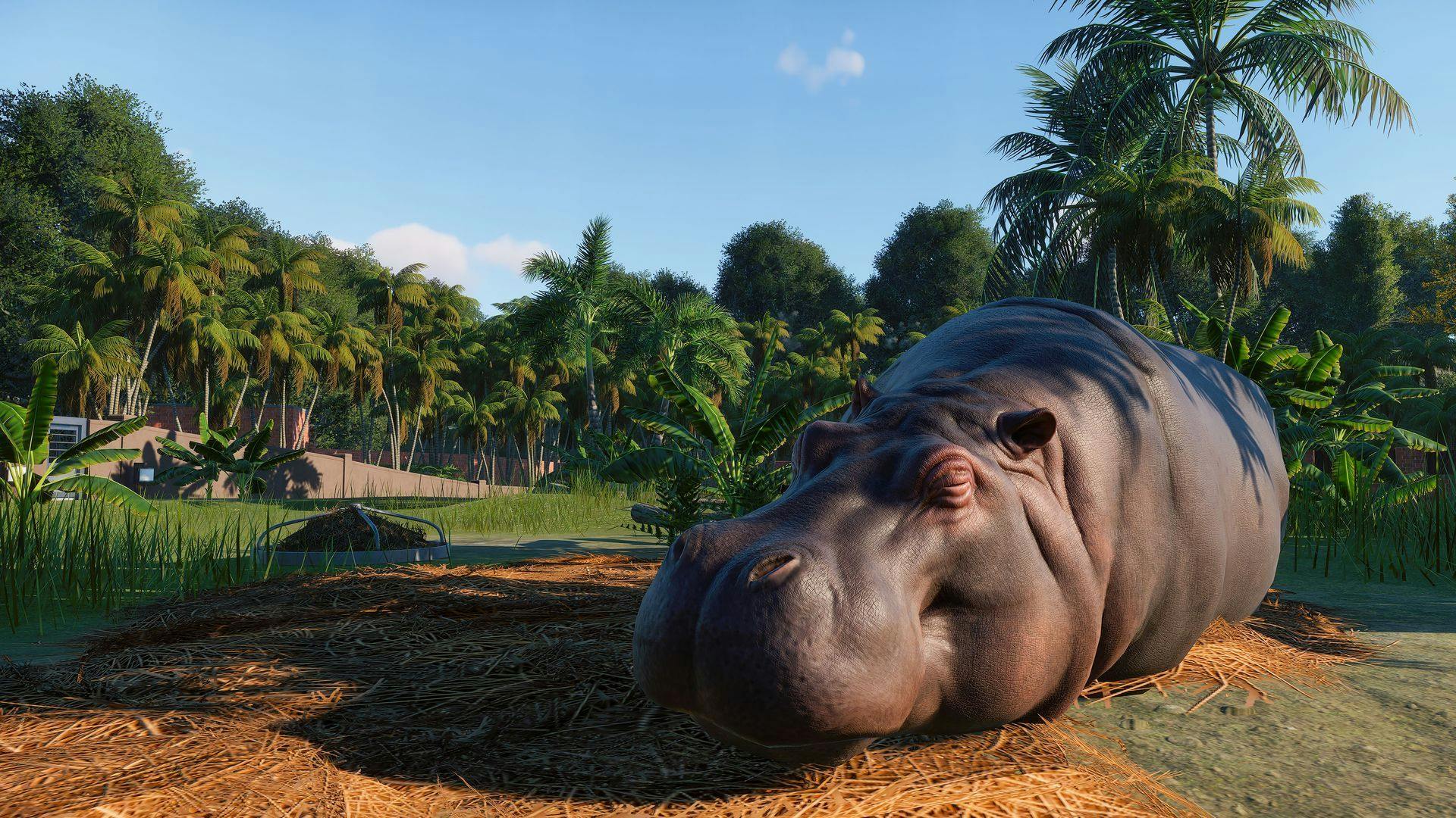 Planet Zoo - Deluxe Edition | PC Steam Game | Fanatical