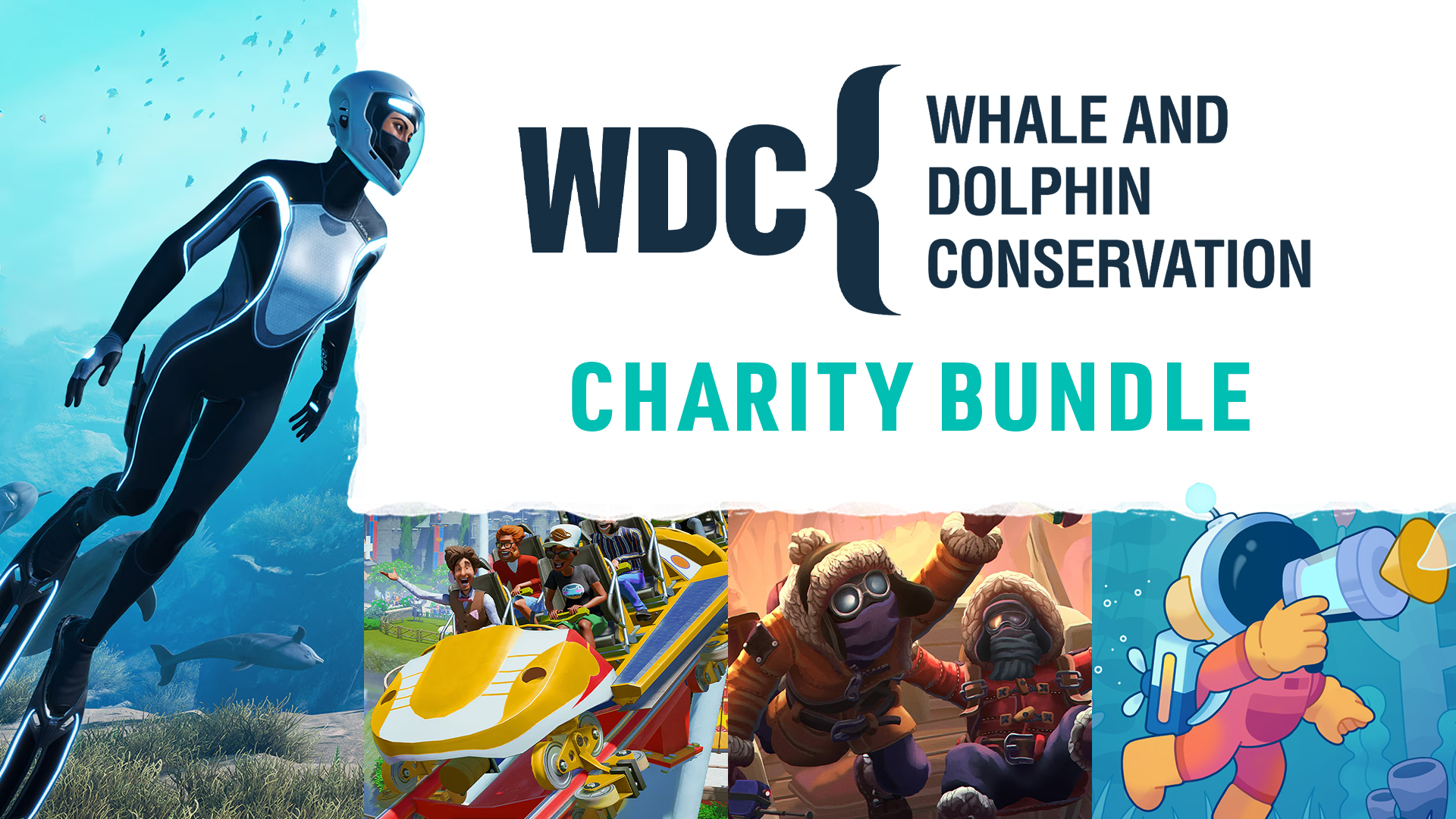 Dive into the Deep End: Our First-Ever Whale And Dolphin Conservation Charity Bundle is Here!