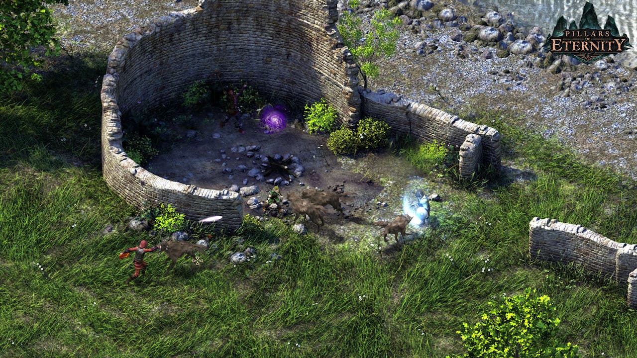 Pillars of Eternity Hero Edition